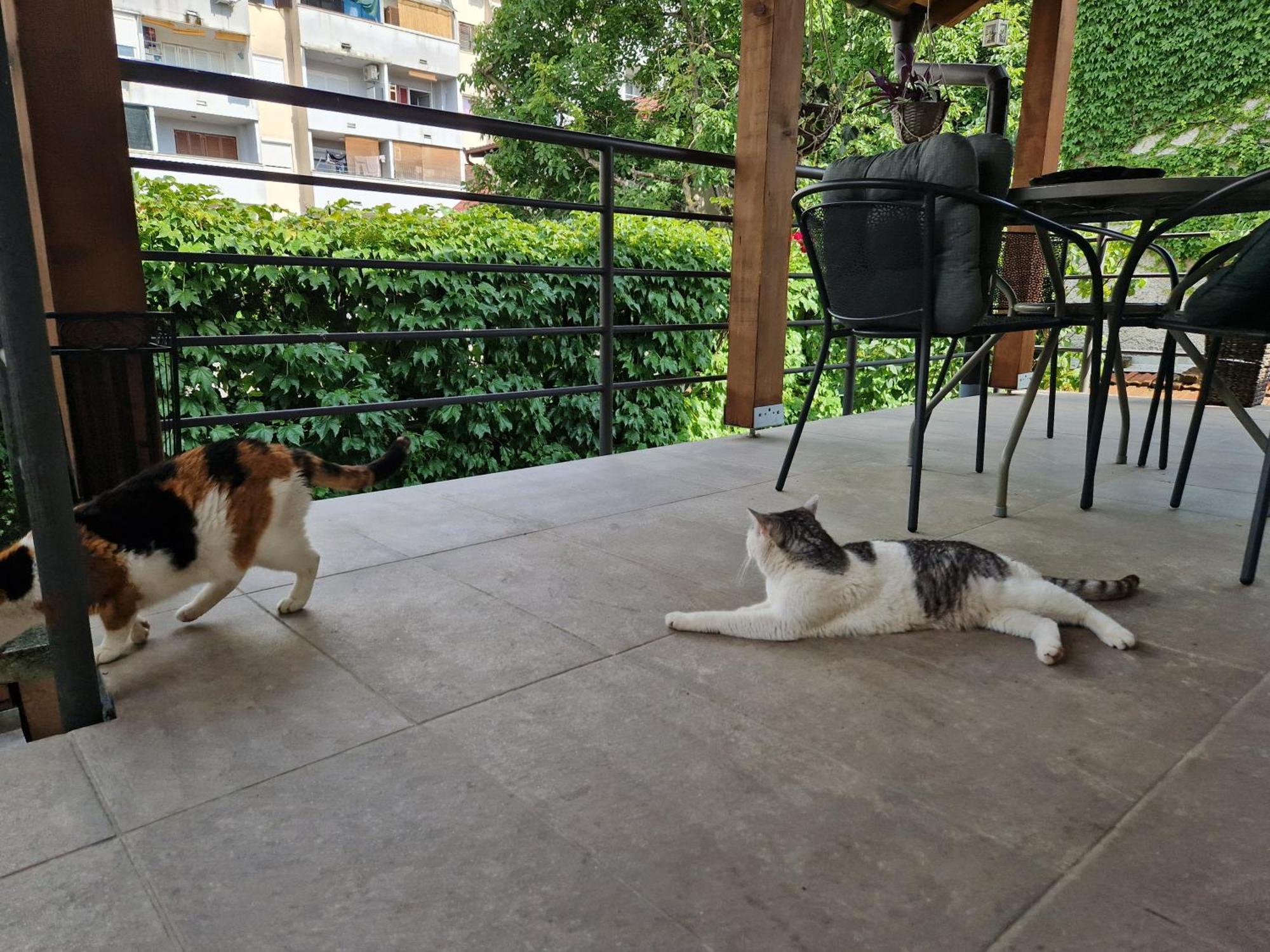 זאגרב Apartman Dubravka מראה חיצוני תמונה